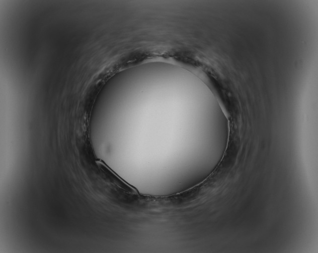 X0000086331349200704131708