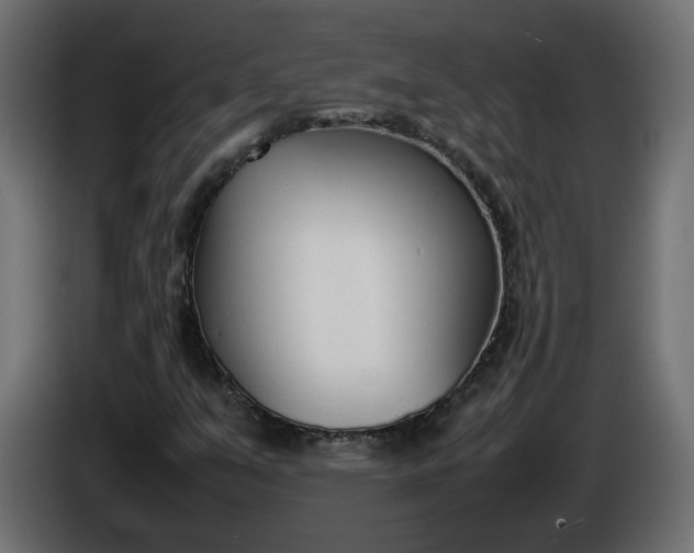 X0000086331351200704131708
