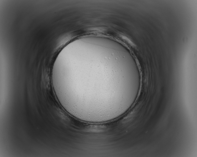 X0000086331354200704131708