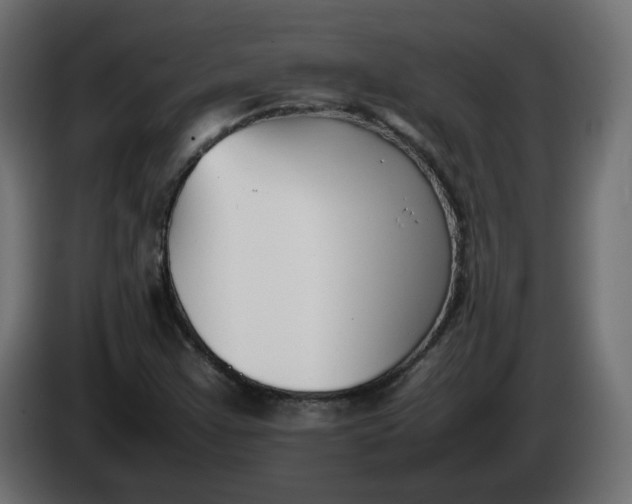 X0000086331355200704131708