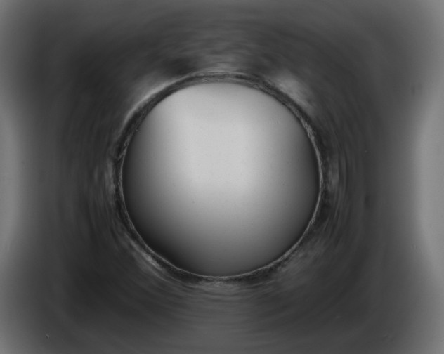 X0000086331356200704131708
