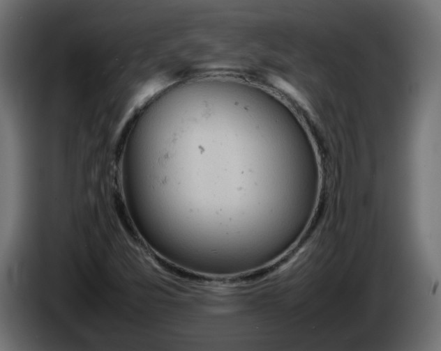X0000086331357200704131708