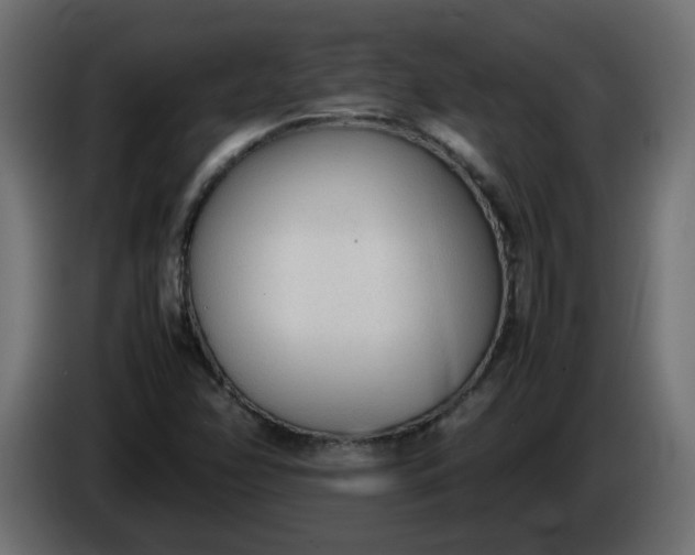 X0000086331358200704131708