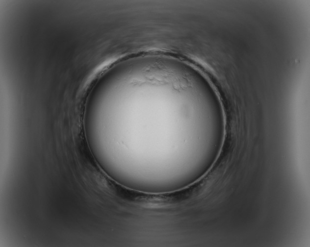 X0000086331359200704131708
