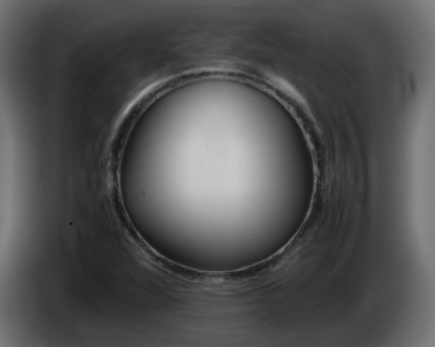 X0000086331360200704131708