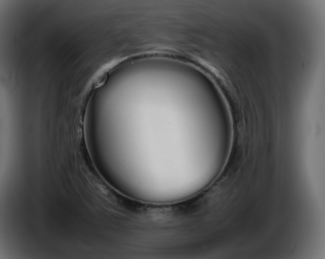 X0000086331363200704131708