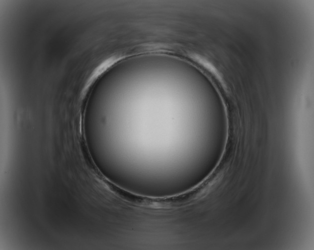 X0000086331365200704131708