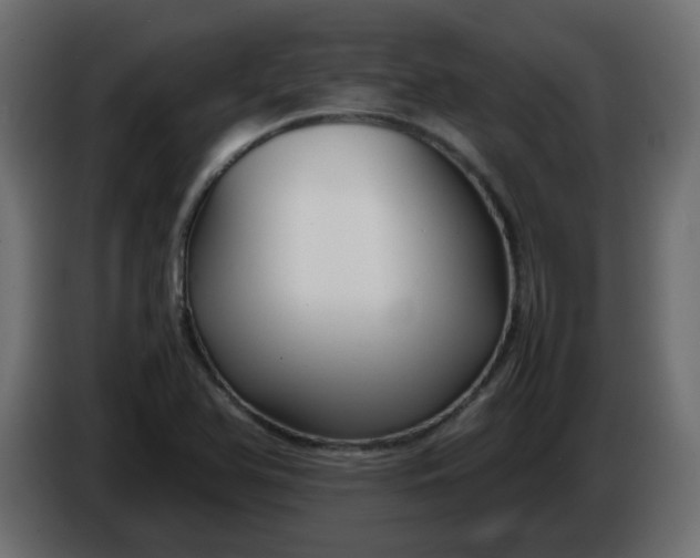 X0000086331366200704131708