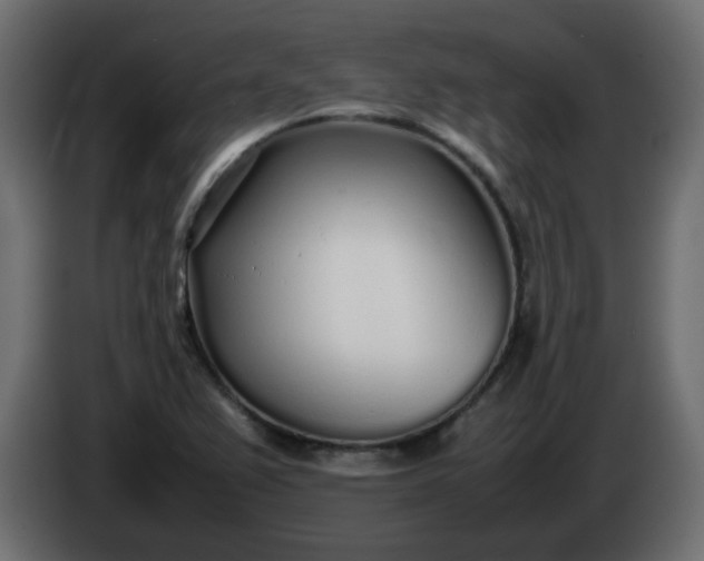 X0000086331367200704131708