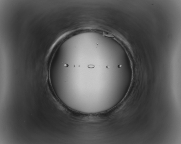 X0000086331368200704131708