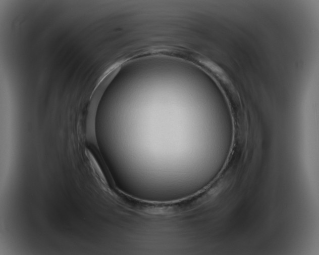 X0000086331369200704131708