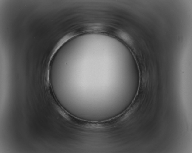 X0000086331370200704131708