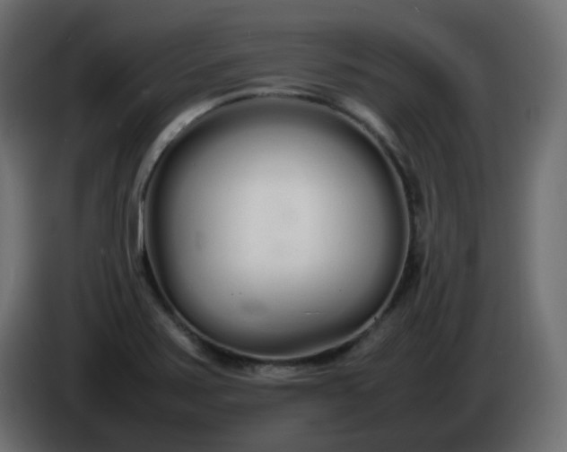 X0000086331371200704131708