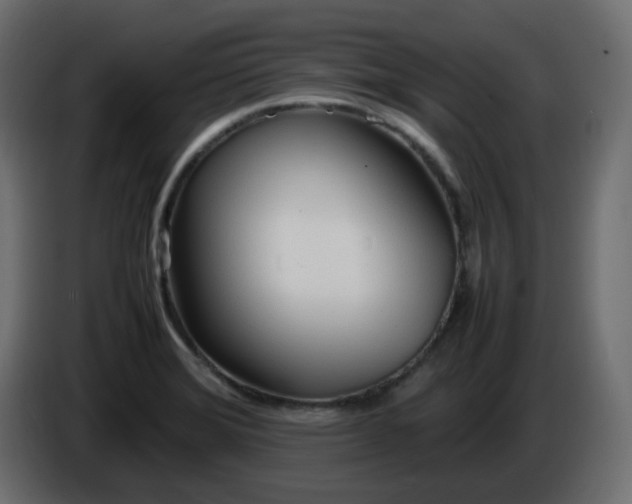 X0000086331372200704131708