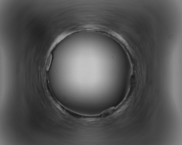 X0000086331373200704131708