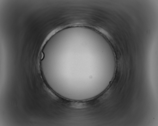 X0000086331374200704131708