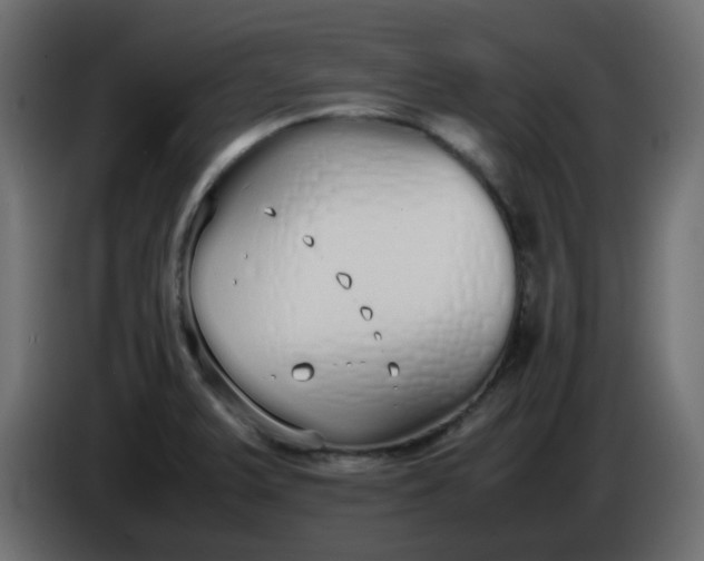 X0000086331375200704131708