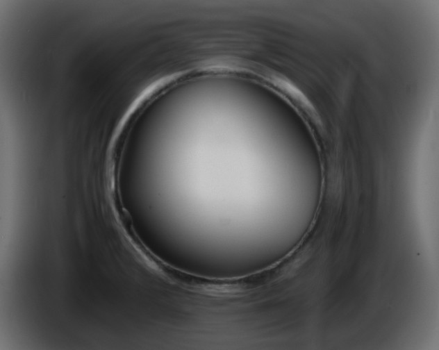 X0000086331376200704131708