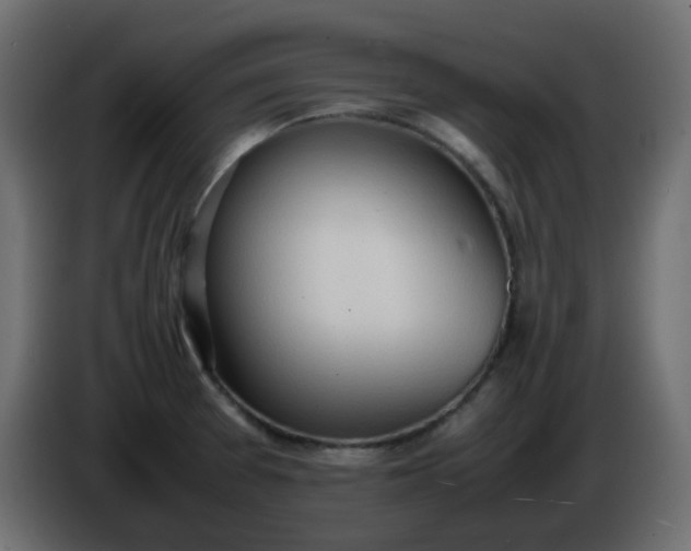 X0000086331377200704131708