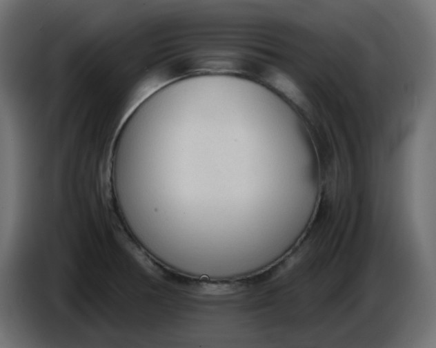 X0000086331378200704131708