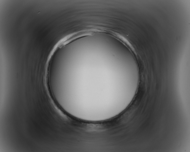 X0000086331379200704131708