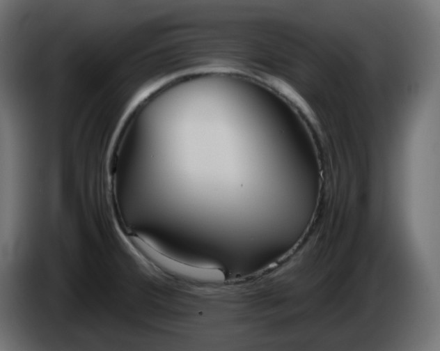 X0000086331380200704131708