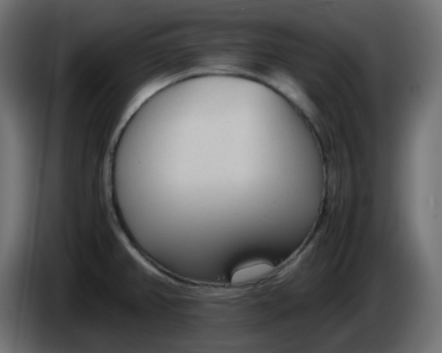 X0000086331382200704131708