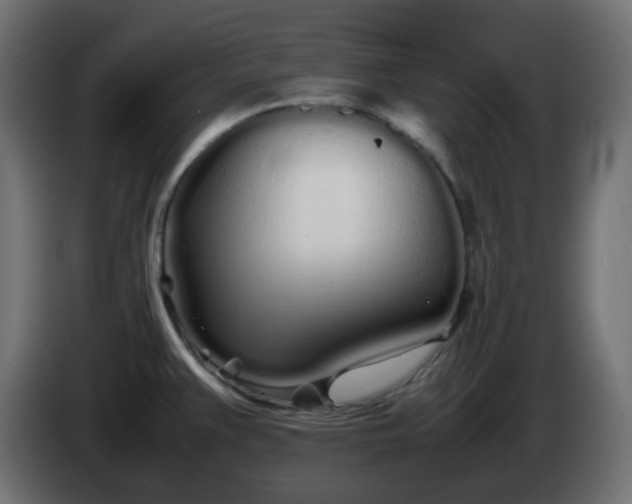X0000086331383200704131708