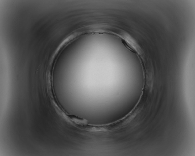 X0000086331384200704131708