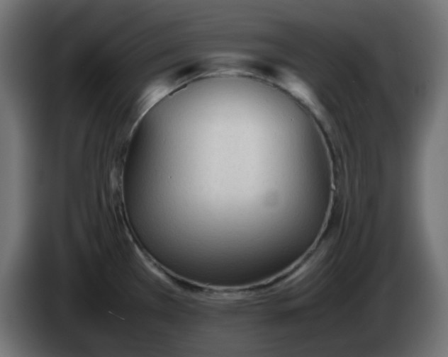 X0000086331385200704131708