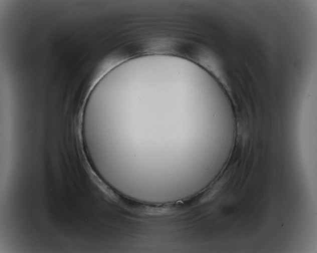 X0000086331386200704131708