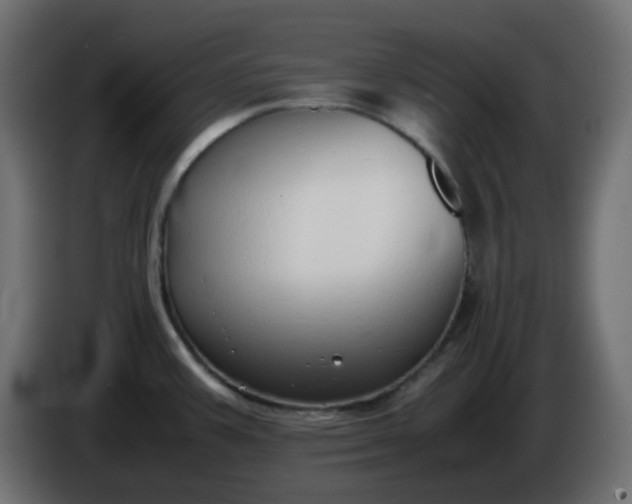 X0000086331387200704131708