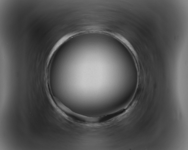 X0000086331389200704131708