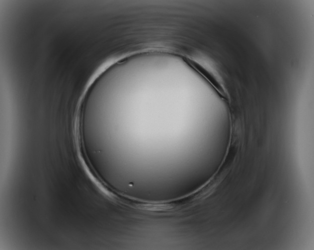 X0000086331391200704131708