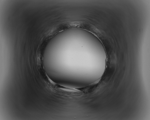 X0000086331394200704131707