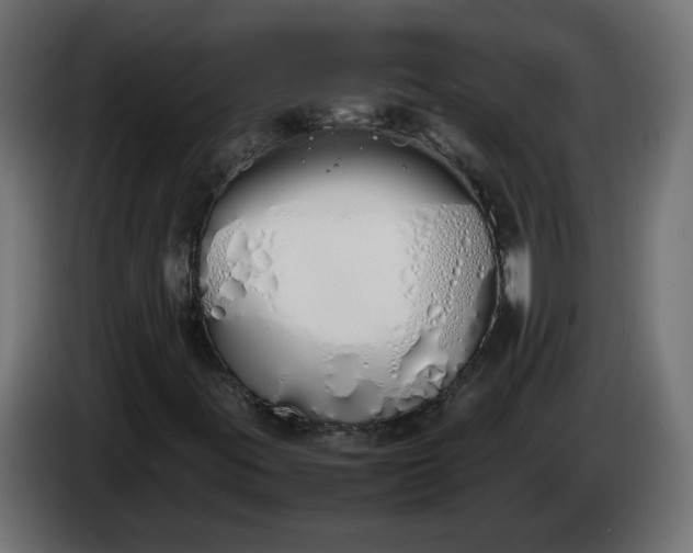 X0000086331395200704131707