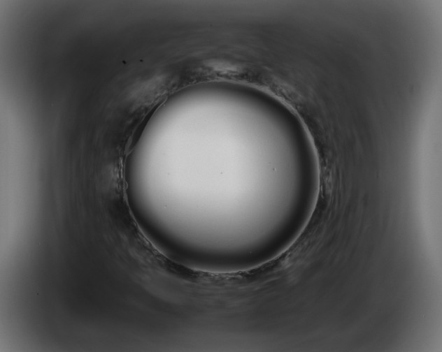 X0000086331397200704131707