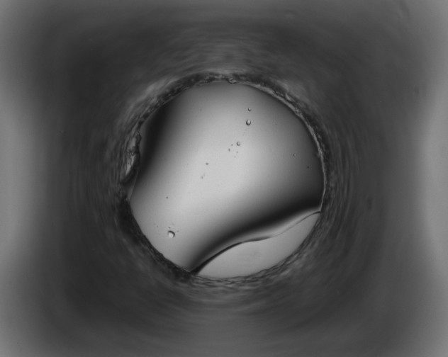 X0000086331398200704131707
