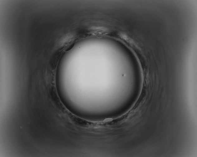 X0000086331399200704131707