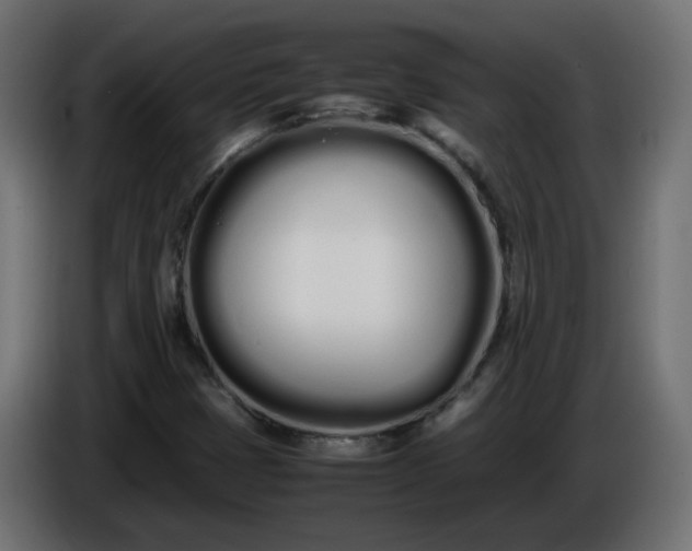 X0000086331401200704131707