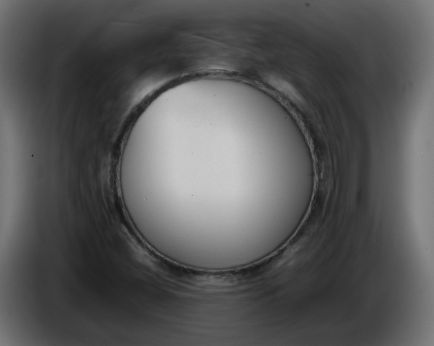 X0000086331404200704131707