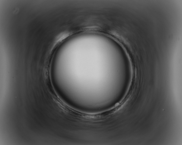 X0000086331405200704131707