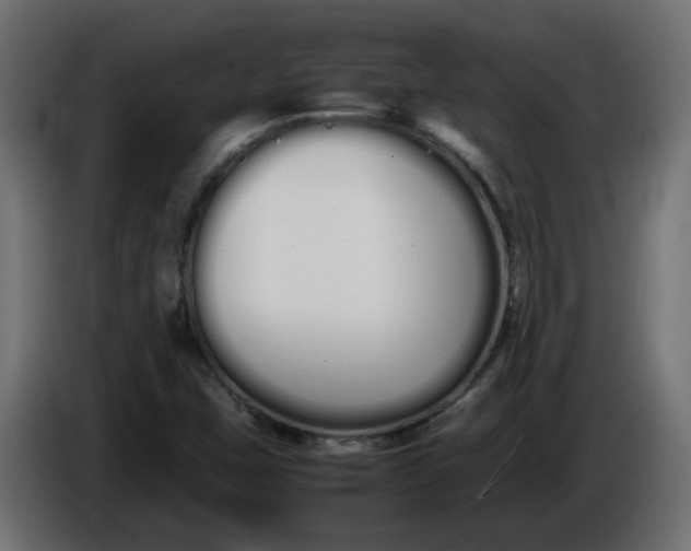 X0000086331407200704131707