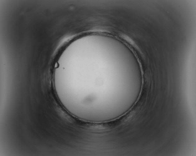 X0000086331408200704131707
