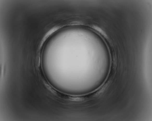 X0000086331413200704131707