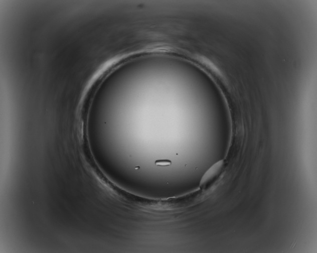 X0000086331414200704131707