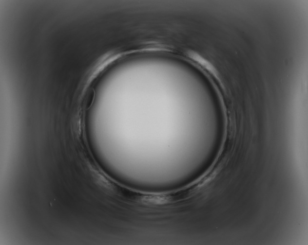 X0000086331415200704131707
