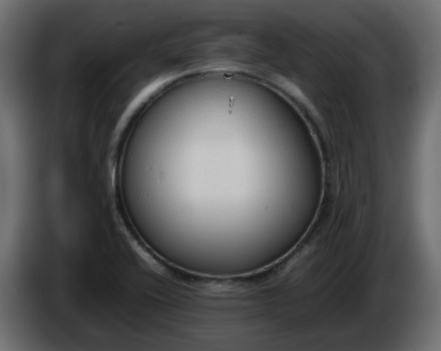 X0000086331416200704131707