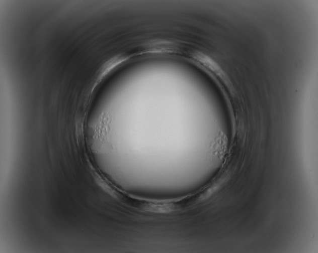 X0000086331417200704131707