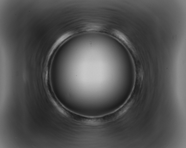 X0000086331418200704131707